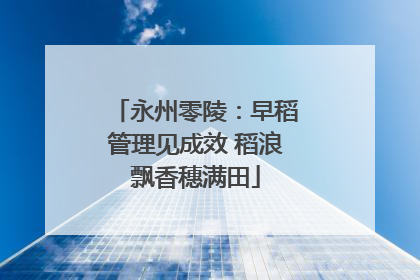 永州零陵：早稻管理见成效 稻浪飘香穗满田